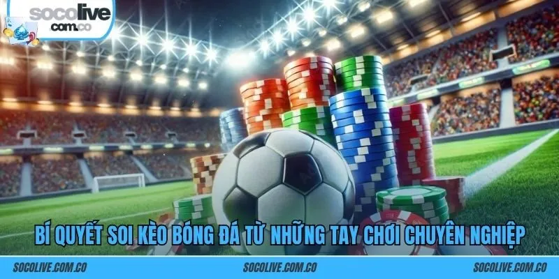 Bí quyết soi kèo bóng đá từ những tay chơi chuyên nghiệp