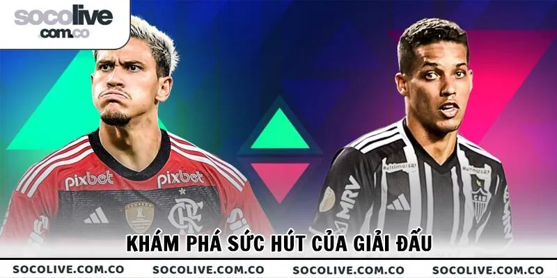 Khám phá sức hút của Campeonato Brasileirão Série A