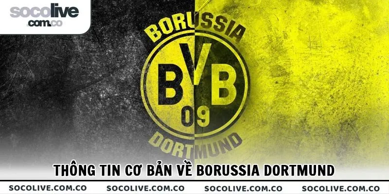 Khám phá các thông tin cơ bản về CLB hàng đầu nước Đức - Borussia Dortmund