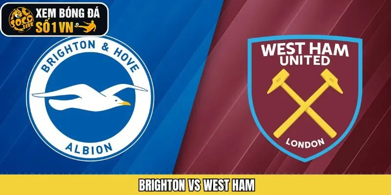 Soi Kèo Brighton vs West Ham Ngày 7/12/2025 Chính Xác Nhất