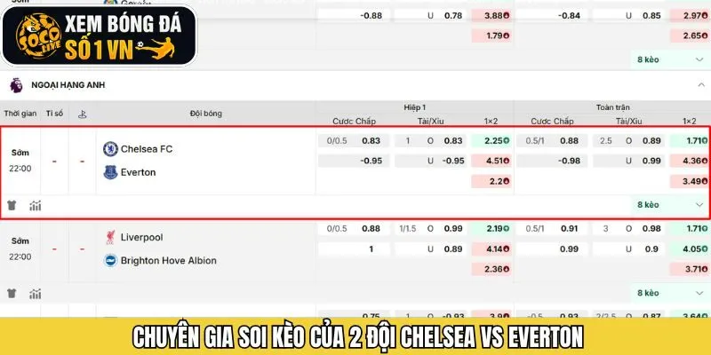 Chi tiết thông tin soi kèo giữa hai đội Chelsea và Everton