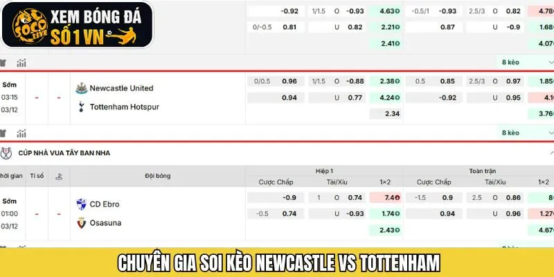 Soi kèo trận đấu giữa Newcastle - Tottenham