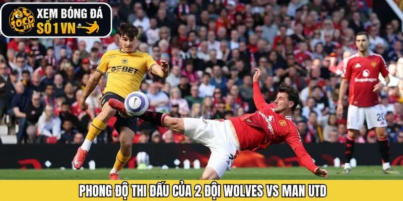 Phong độ hiện tại của Wolves - Man Utd
