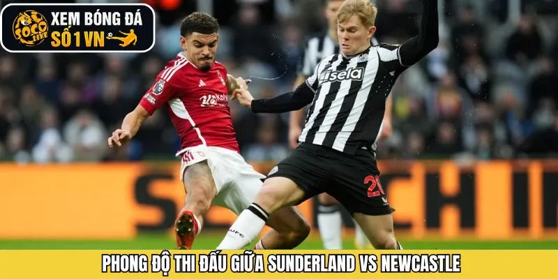 Đánh giá phong độ của Sunderland vs Newcastle 