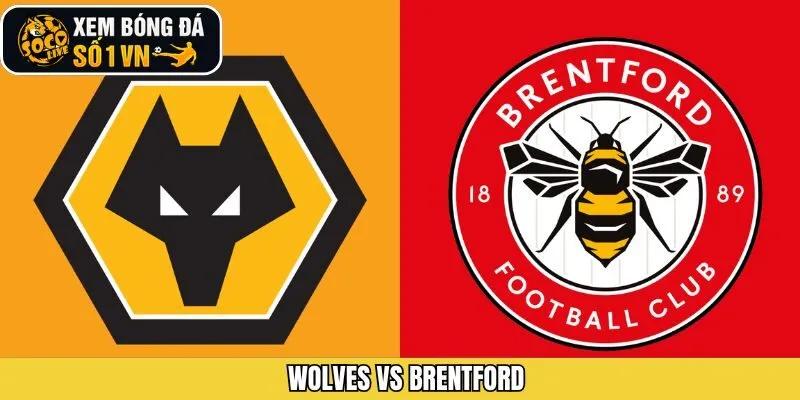 Wolves Vs Brentford Ngày 20/12 - Nhận Định Kèo Từ Socolive